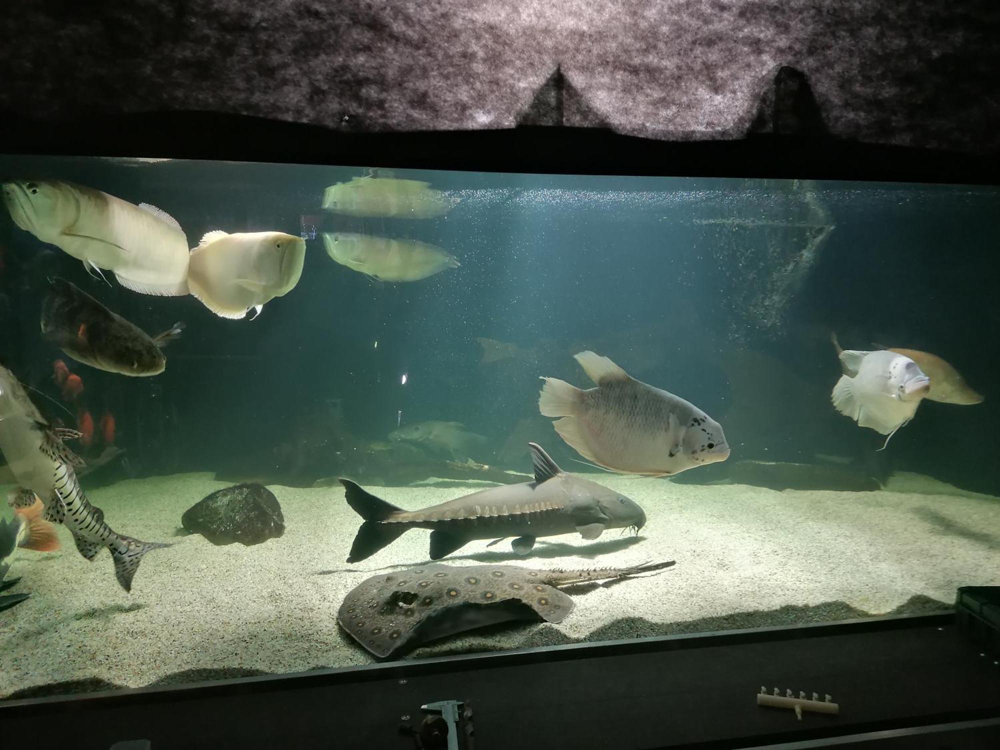 Penzion Baska Voda Cz Bagian luar foto