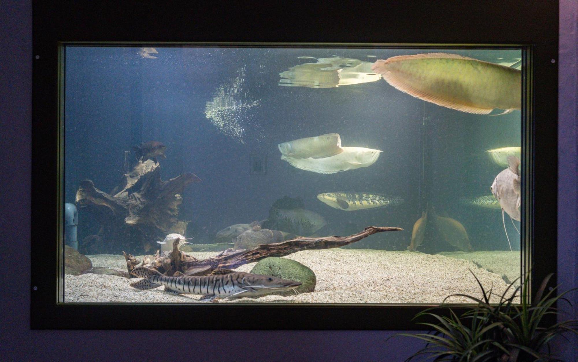 Penzion Baska Voda Cz Bagian luar foto